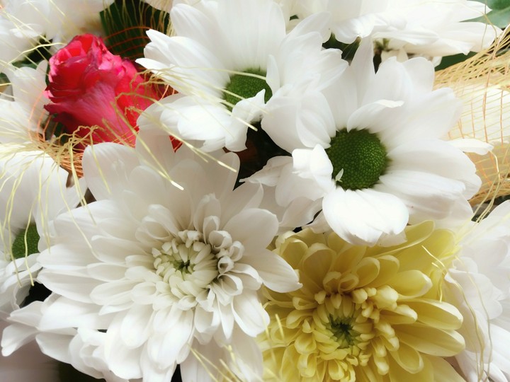 Flowers