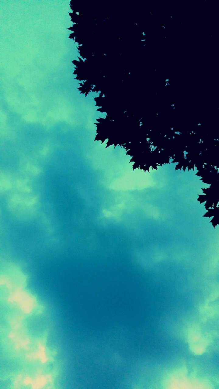 Blue skies