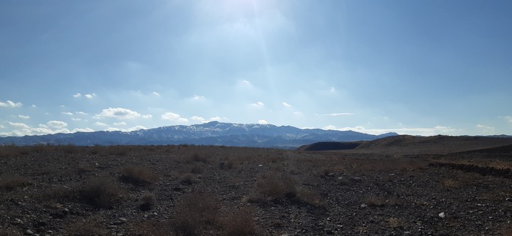 nature