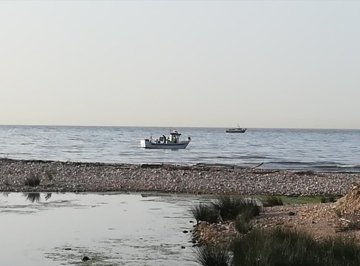 Desembocadura río Foix