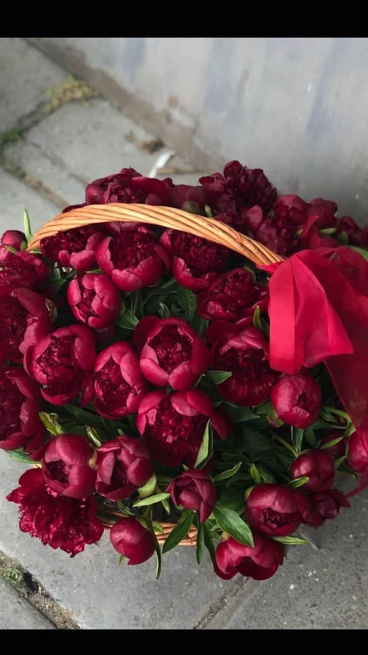 Flower, Petal, Flower_bouquet