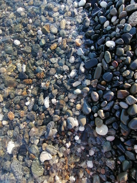 sea❤