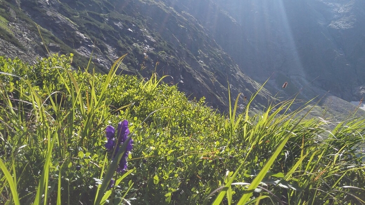 Mountain