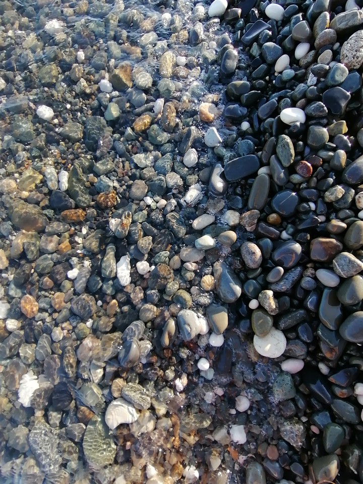 sea❤