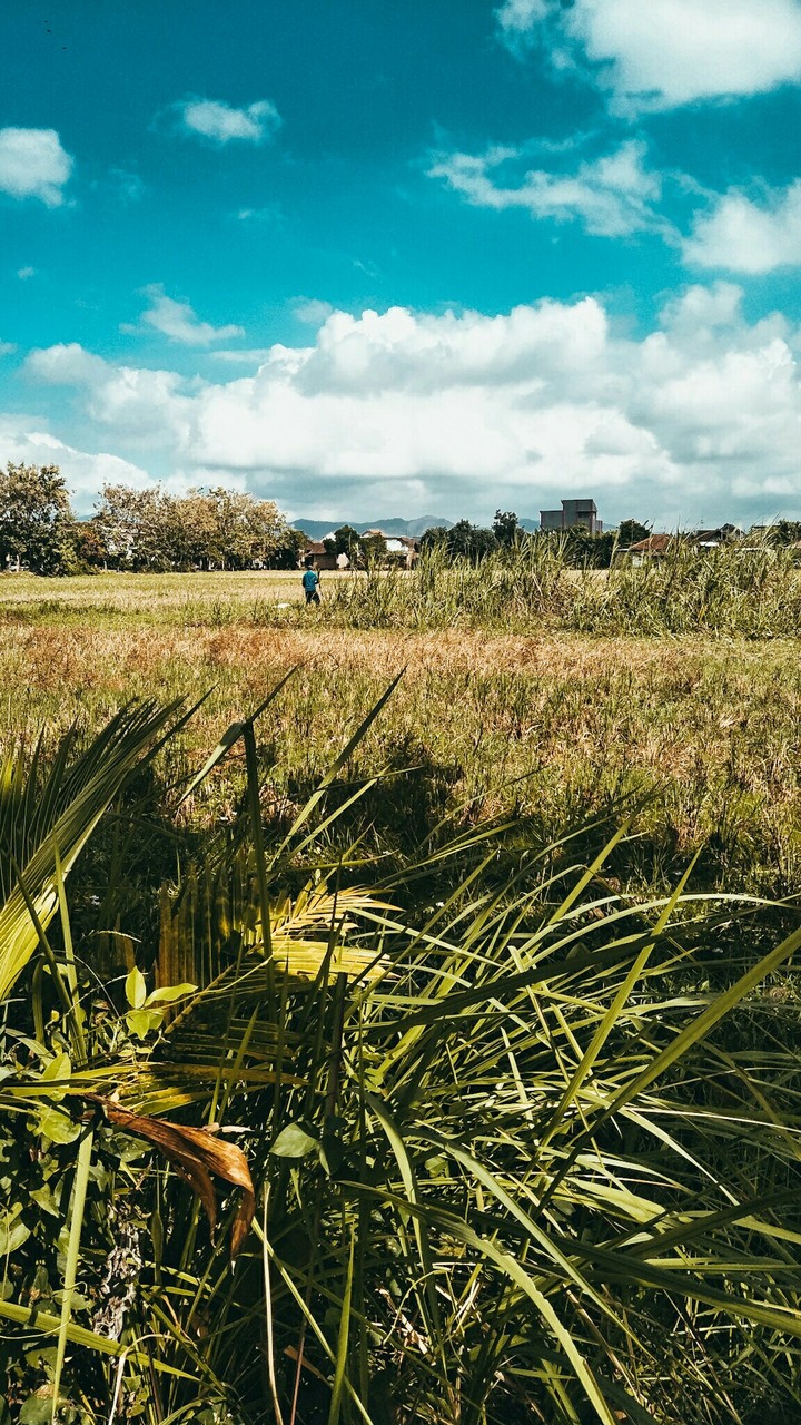 Farming