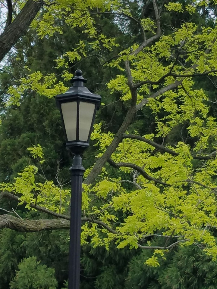 Let me light the way to spring.