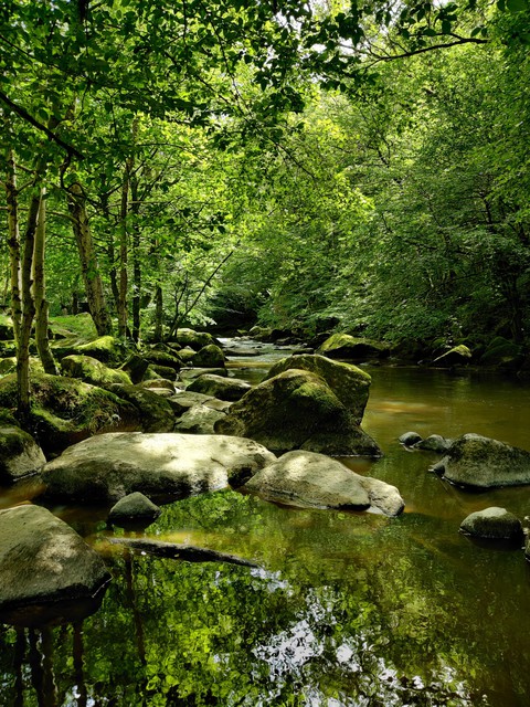 Green River