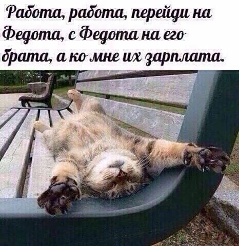 любимцы