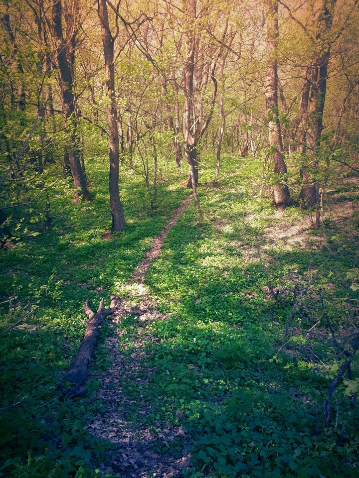 Spring