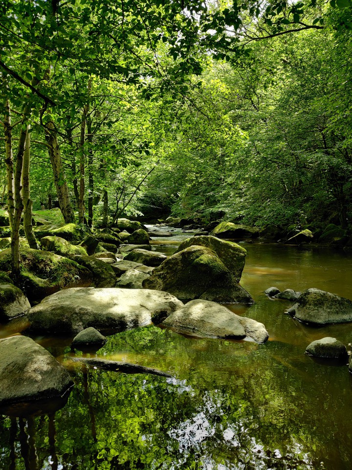 Green River