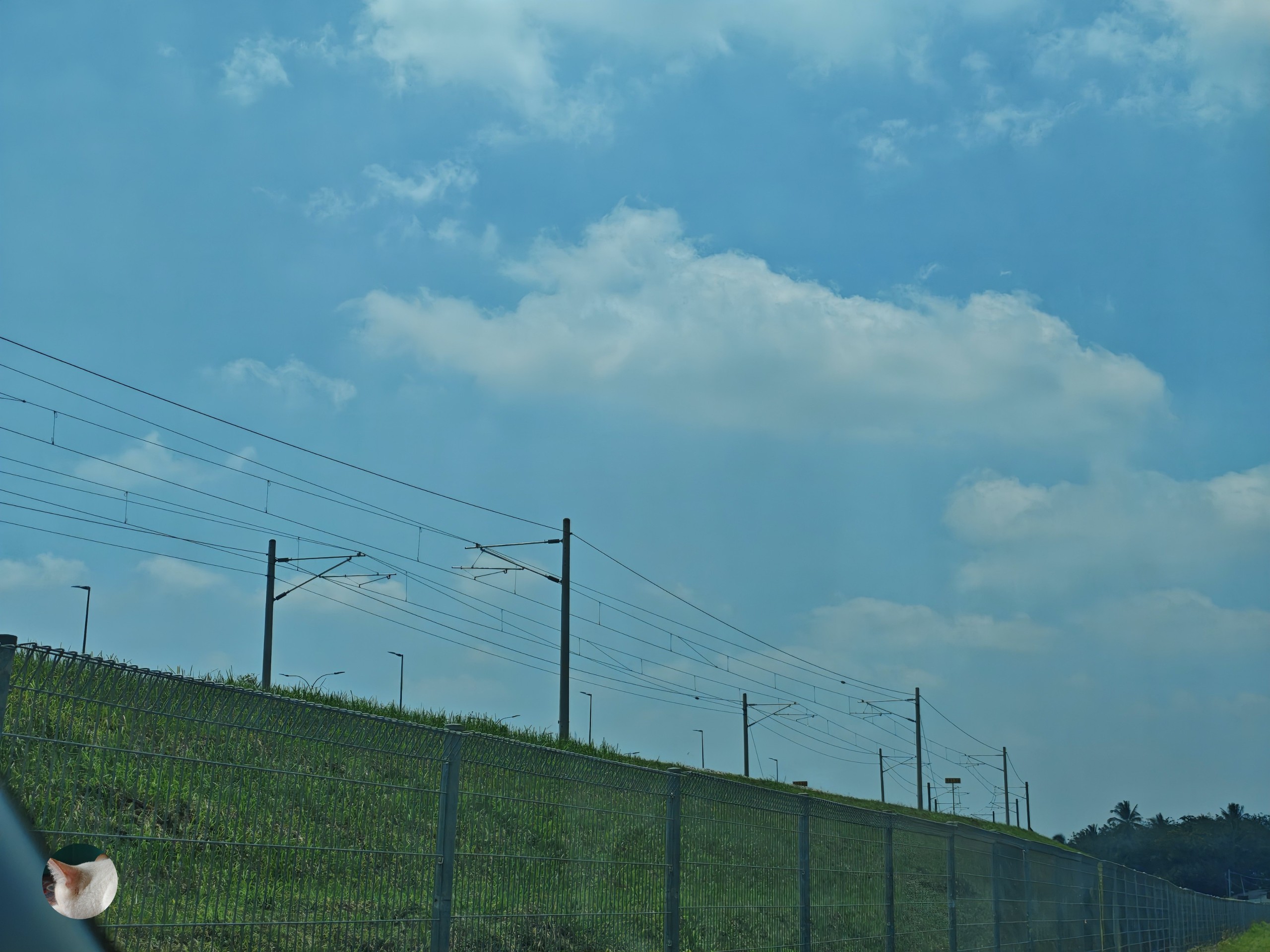 шпалери plain, Wire