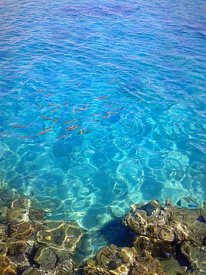 red sea