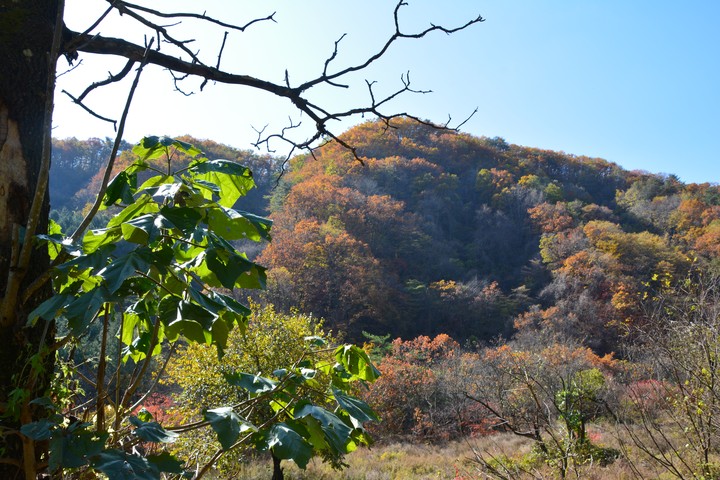산이미지