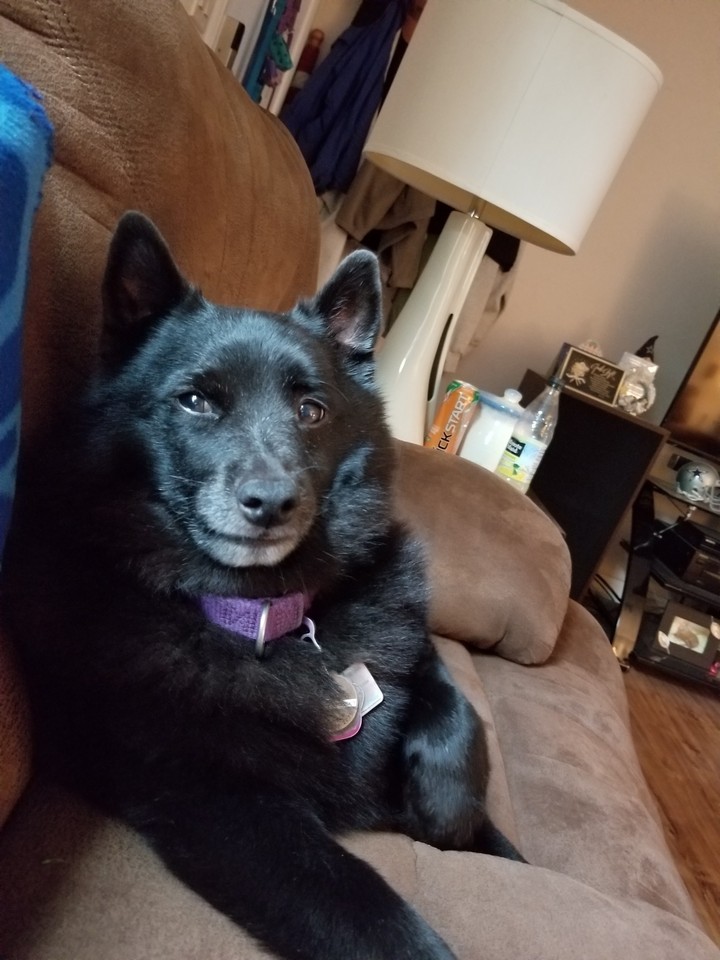 How you doin?