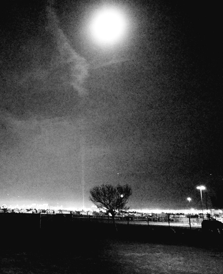 blue moon and excalibur