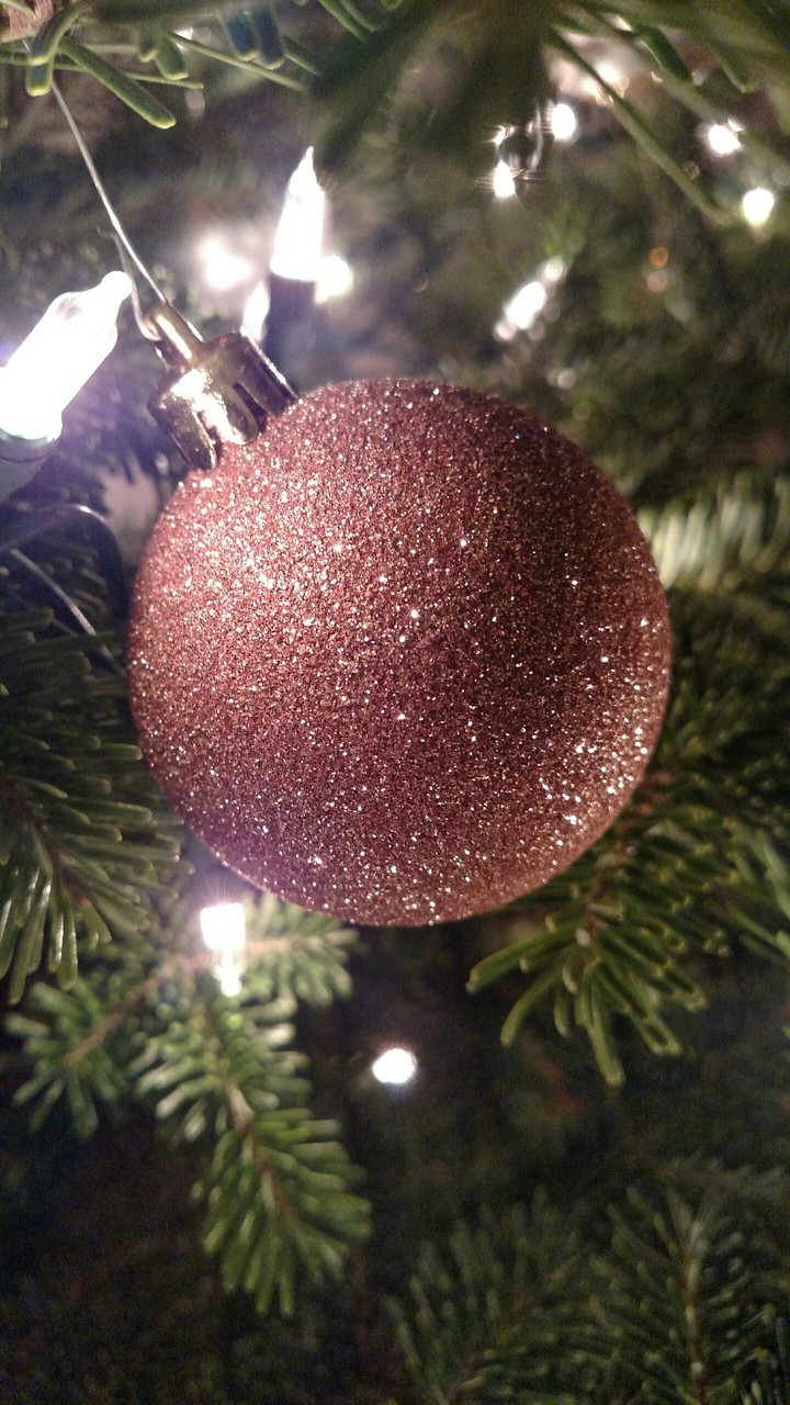 Beautiful Ornament