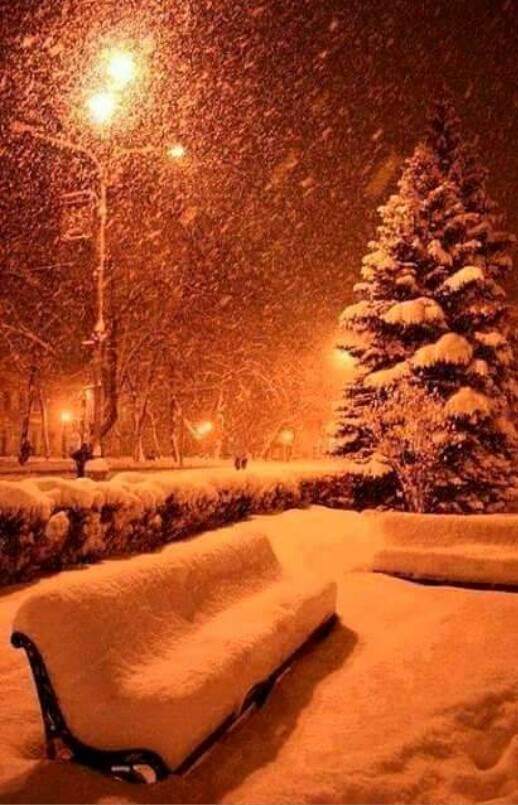 Tehran nights(Gheytariyeh park)