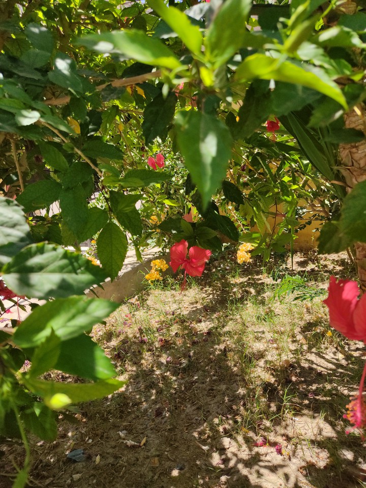 garden school