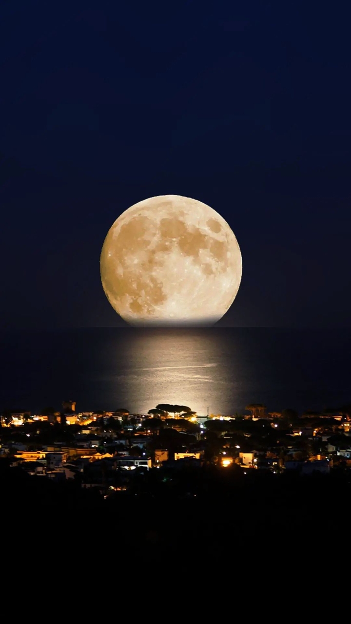moon love✨?