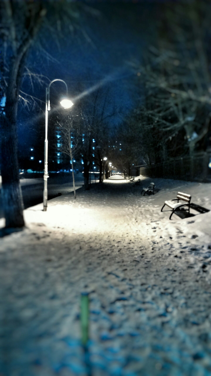 Winter ❄❄❄