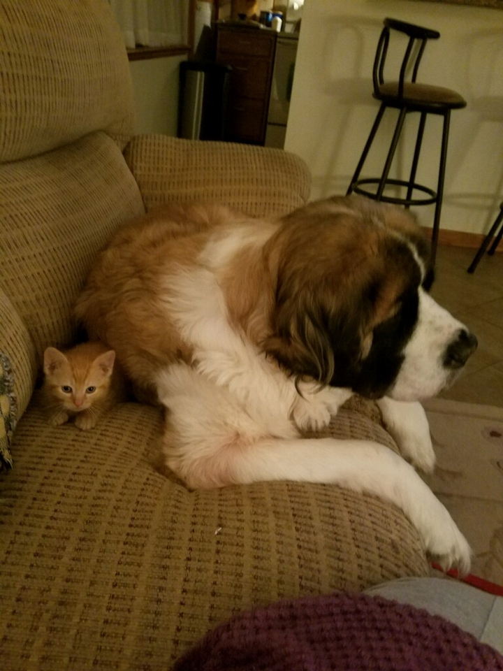 best friends
