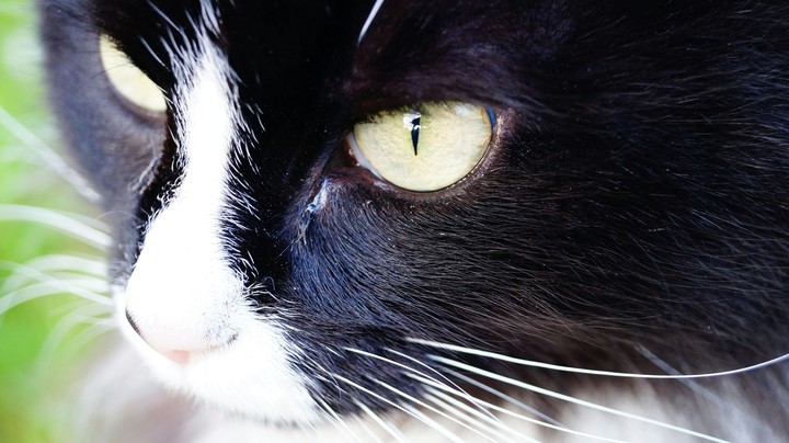Look in this eyes and tell her the truth