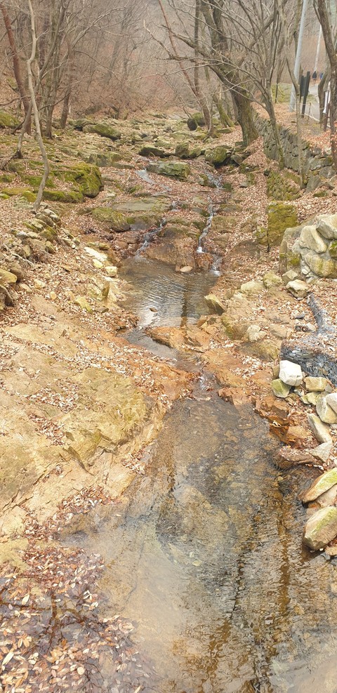 רקעים bedrock, Wilderness