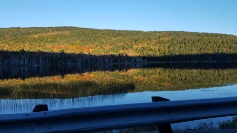 Reflections 2