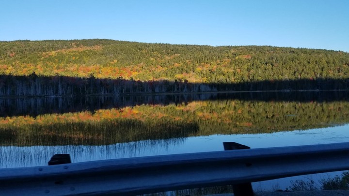 Reflections 2