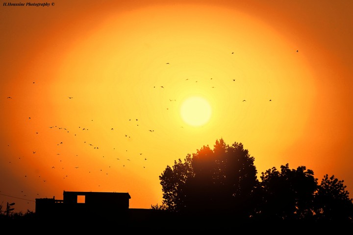 Coucher de soleil, Maroc // sunrise from Morocco