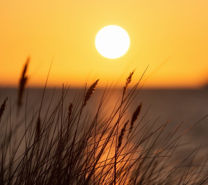 take sunset