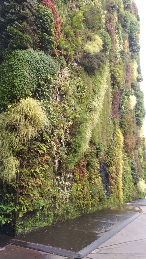 Jandin Vertical