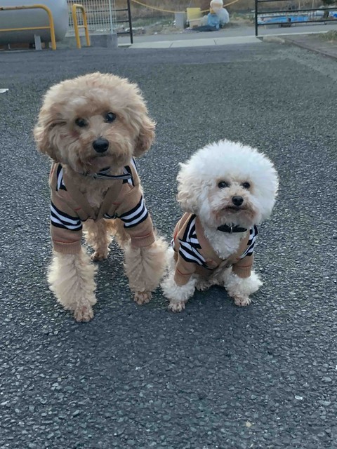 Lucky& Money