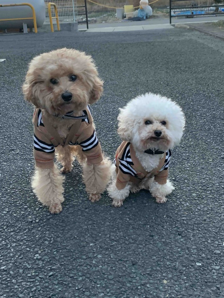 Lucky& Money