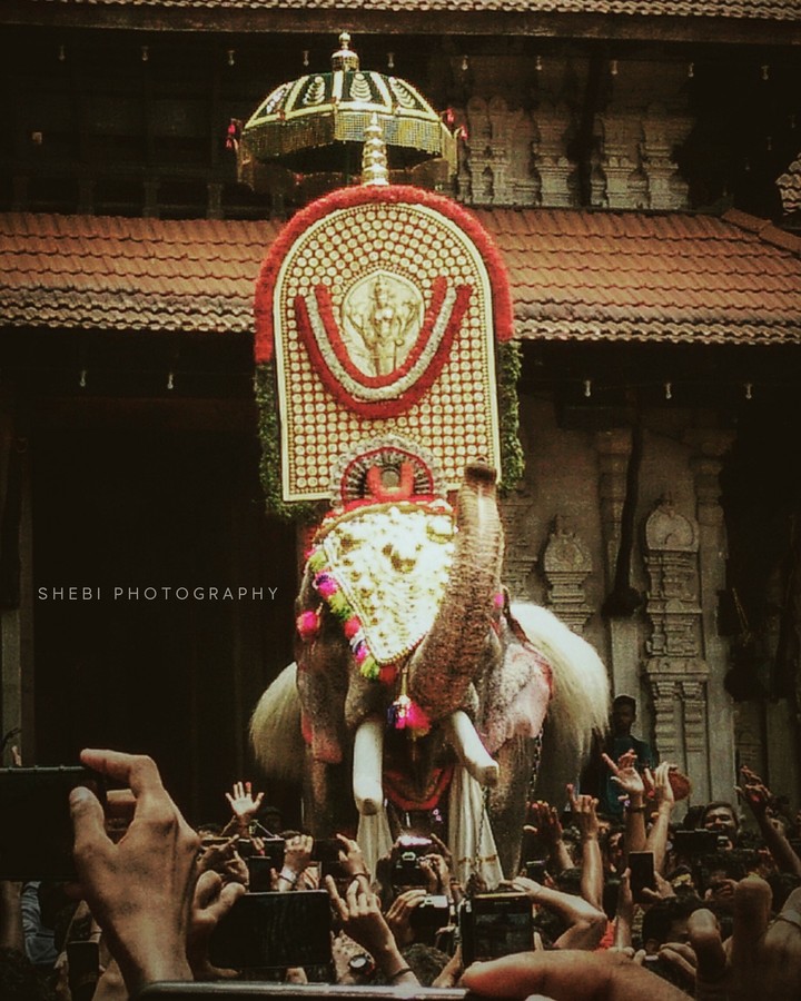 രാമചന്ദ്രൻ effect