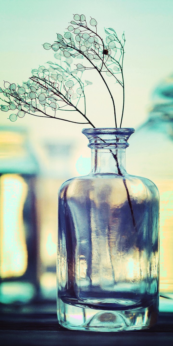 Beauty in a bottle