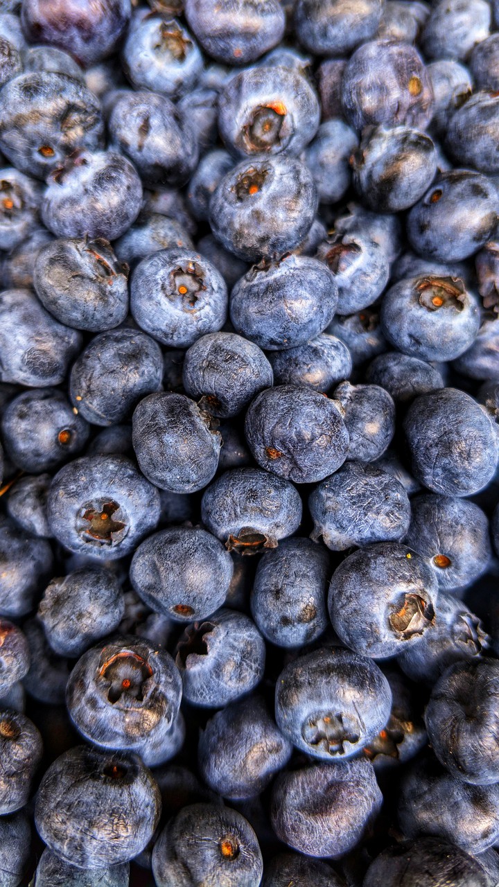 Blueberries