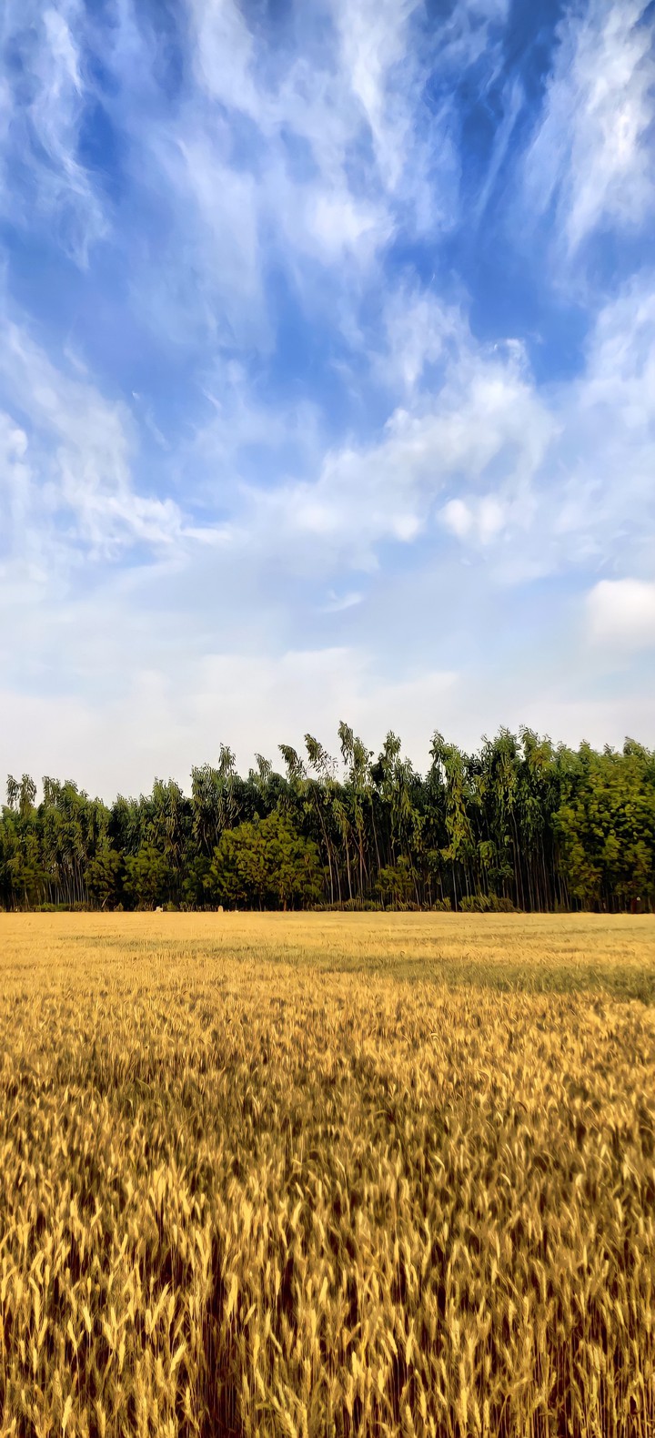 Farm
