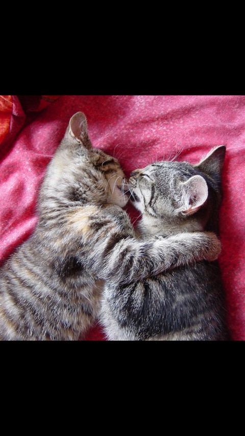 LoVe forever