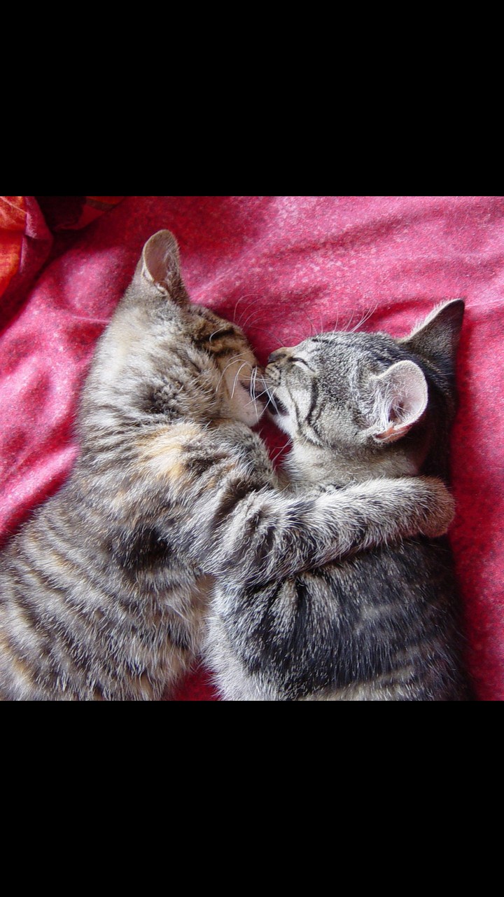LoVe forever