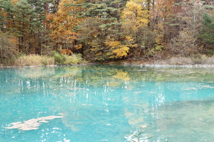 autumn