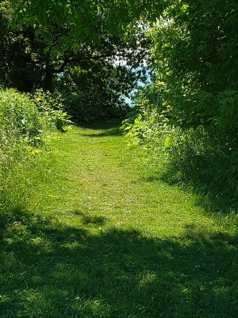 Short Cut to the Lake