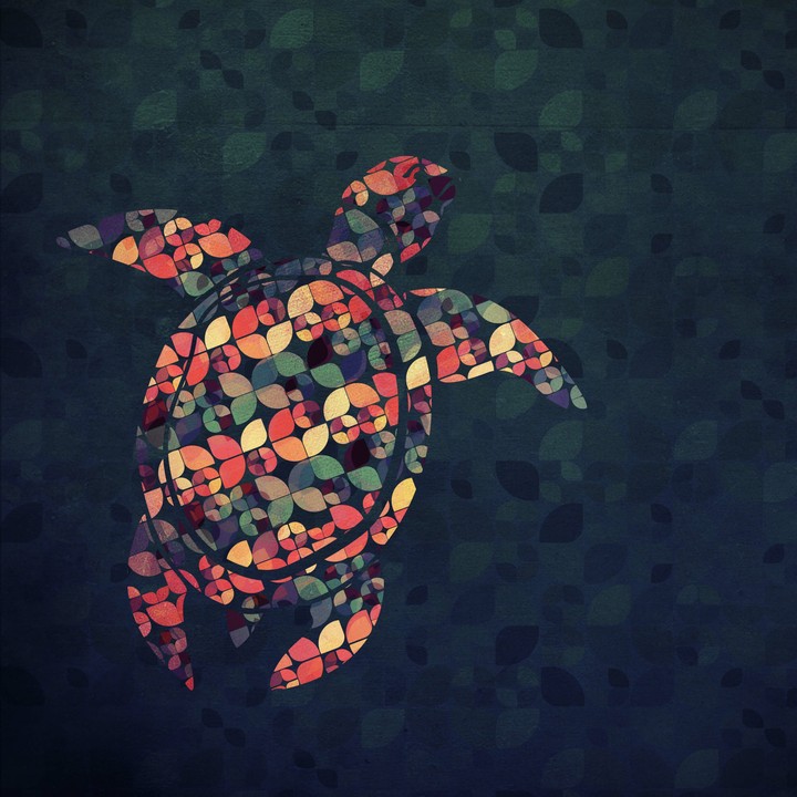 tortoise