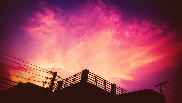 nature love