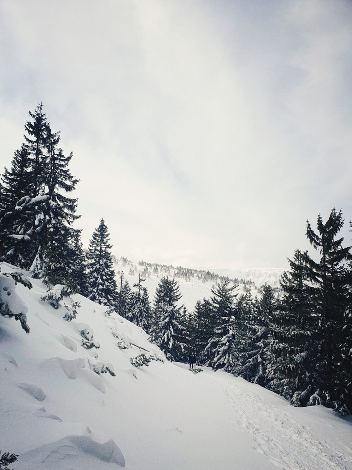 winter