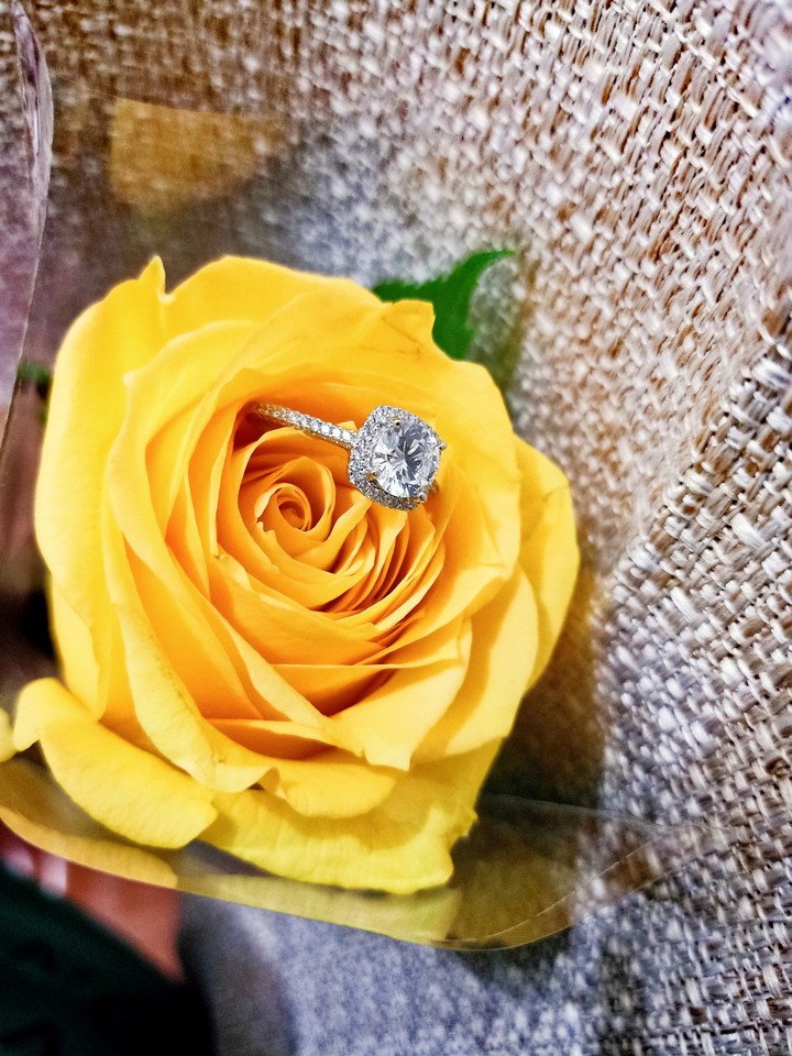 #beautiful rose flower