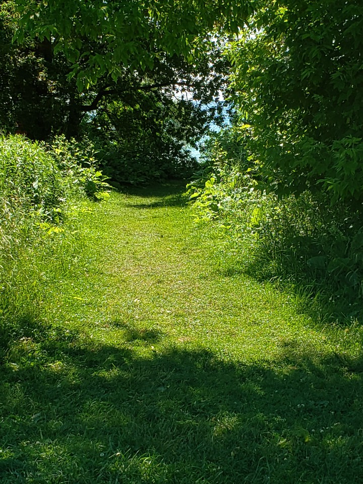 Short Cut to the Lake