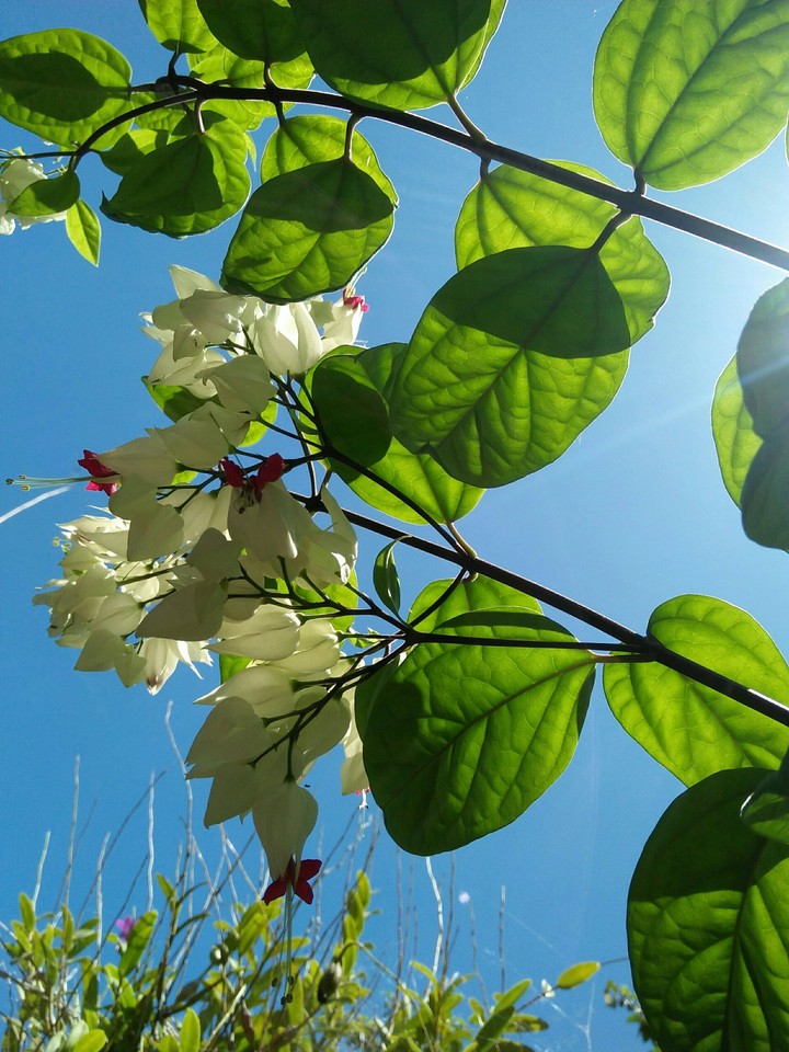 meaning of light