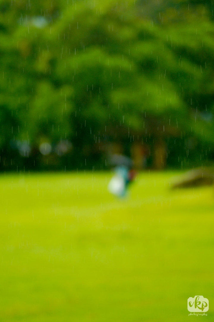rain