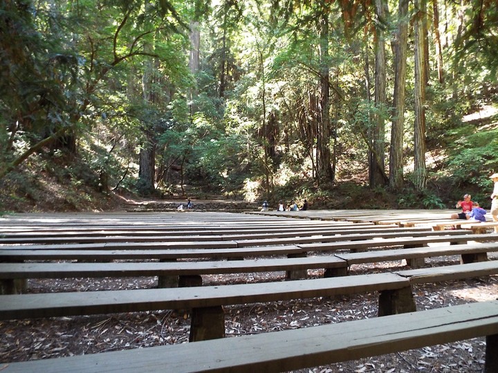 Theater in the Forrest